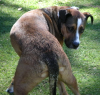 chico_bottom