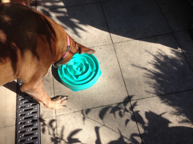 Puzzle bowl