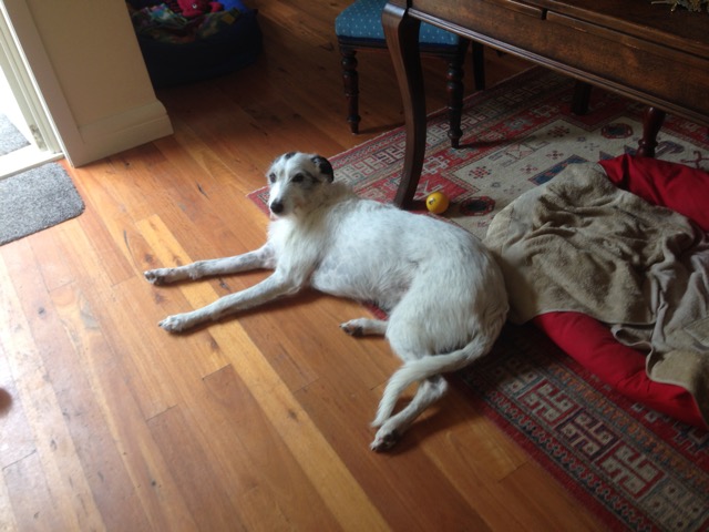 Brandy relaxes