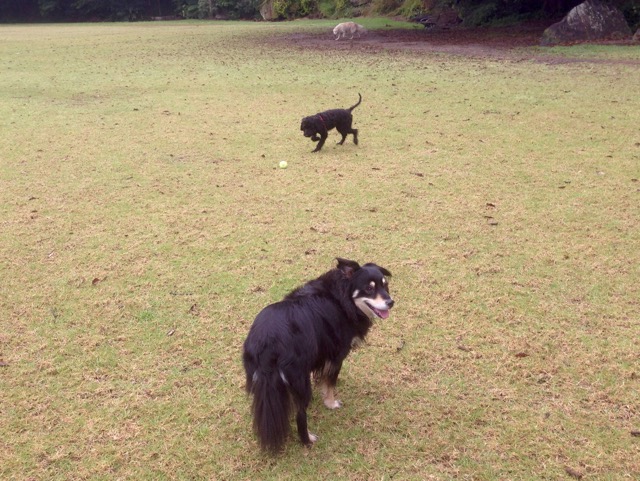 Lola and Tess