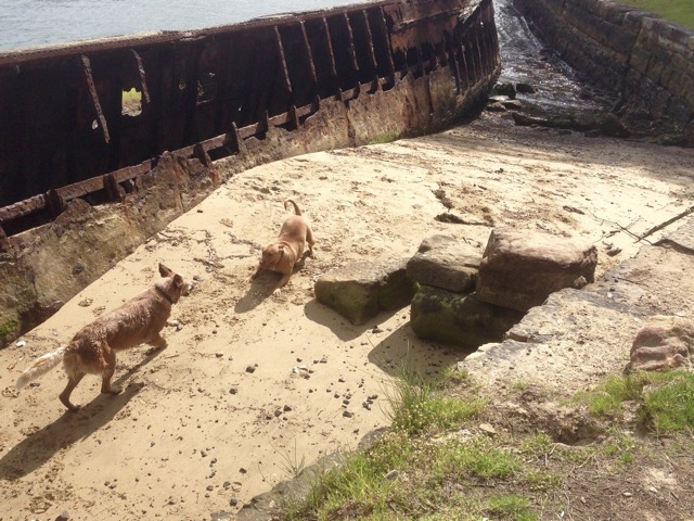 Wilbur and Ruby