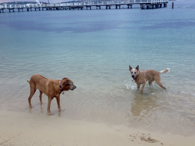 Lula and Wilbur