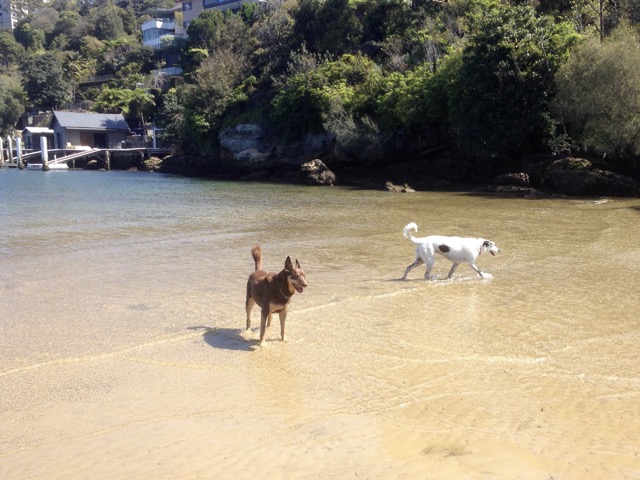 Cody and Brandy