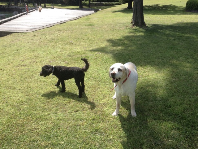 Moses and Millie