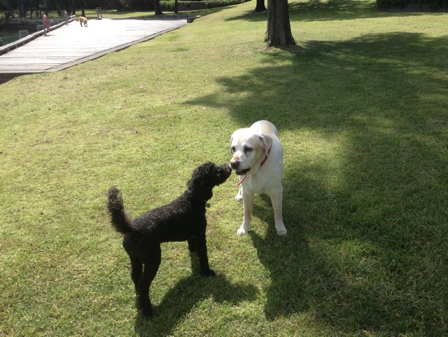Moses and Millie
