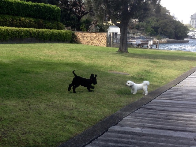 Tess and Max