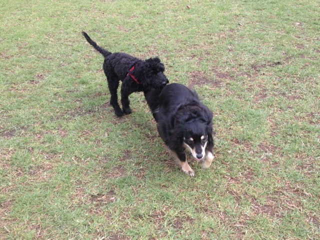 Lola and Tess