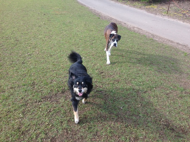 Lola and Darcy
