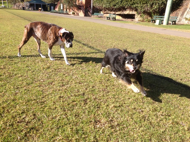 Lola and Darcy