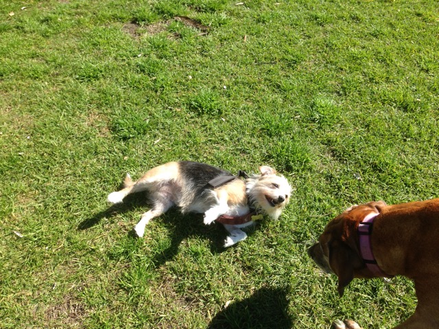 Millie and Lula