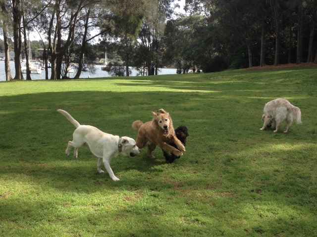 Max, Max and Millie