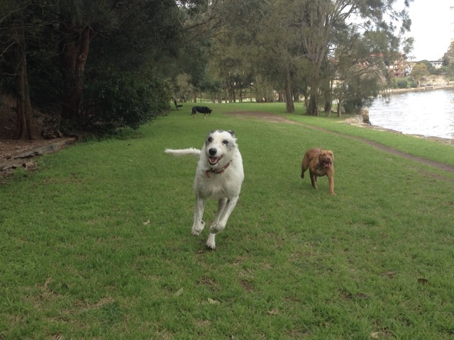 Brandy and Ruby