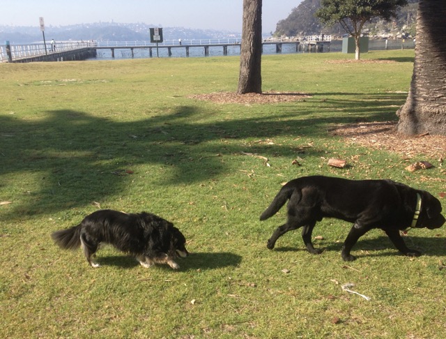 Lola and Lex