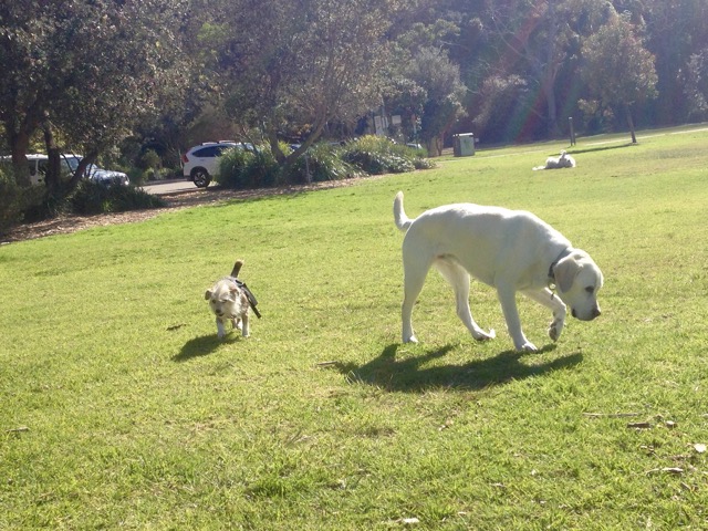 Millie and Max
