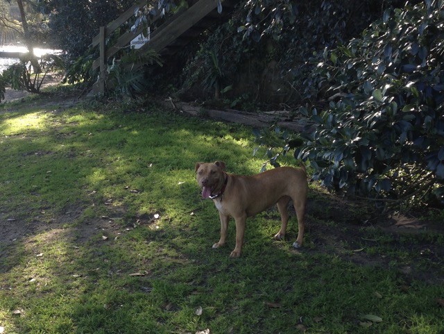 Ruby
