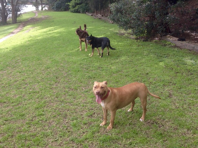 Ruby and Cassie