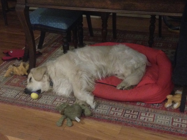 Tired Hudson