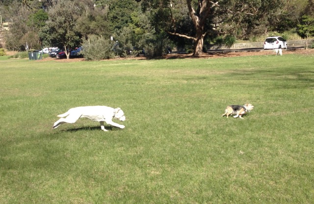 Max and Millie