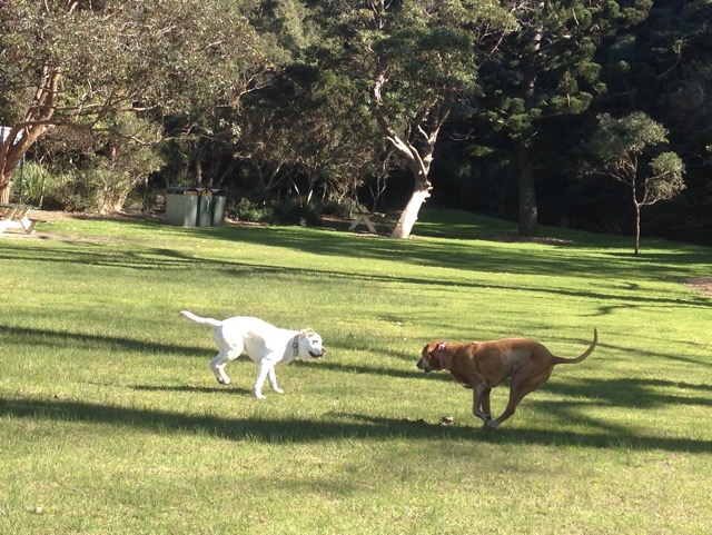 Max and Lula