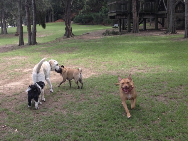 Gomez, Max, Pugsley and Ruby