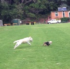 Max and Millie
