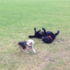 Millie and Lex