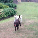 Rebel and Max