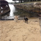 Jatzy and Buffy