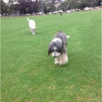 Max and Coco