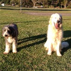 Coco and Bruce