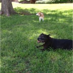 Milo and Mia