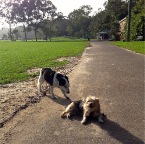 Chester and Millie
