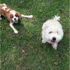 Jed and Wilbur
