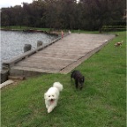 Max and Milo