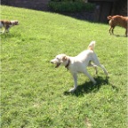 Lottie, Jed and Lula