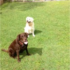 Rebel and Abbie