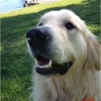 Hudson