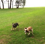 Sydney and Jed