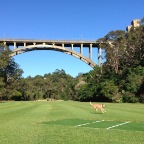 Wilbur Jumps
