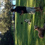 Perky, Jasper, Wilbur