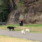 Lex, Archie and Wilbur