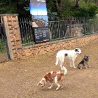 Jed, Brandy and Sydney