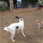 Brandy, Sydney and Jed