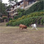 Lula and Brandy