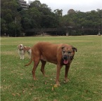 Jed and Lula