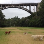 Lula, Jed and Hudson