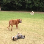 Sydney and Lula