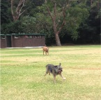 Sydney and Lula