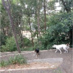 Cassie and Brandy