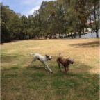Brandy and Wilbur